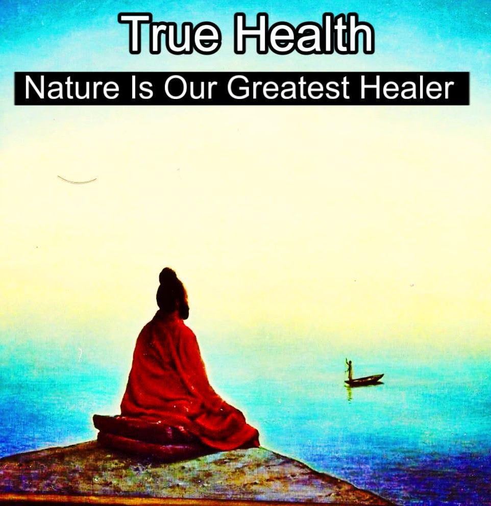 Cover of True Health.